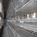 Panel Mesh yang dikimpal Galvanized Square untuk Chicken Cage